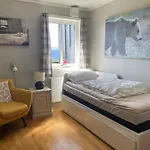Stor Toppleilighet I Sentrum Lägenhet