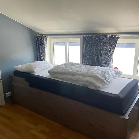 Stor Toppleilighet I Sentrum