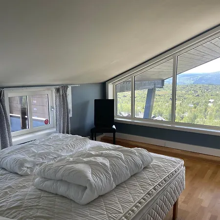 Stor Toppleilighet I Sentrum *