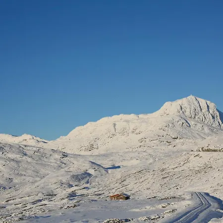 Stor Toppleilighet I Sentrum