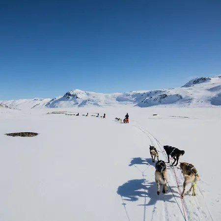 Apartment Stor Toppleilighet I Sentrum Beitostolen