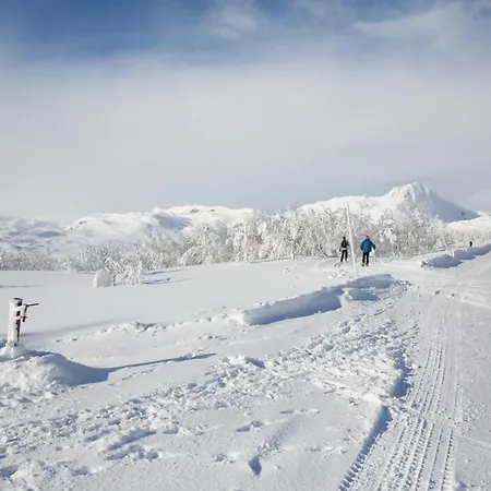 Stor Toppleilighet I Sentrum *